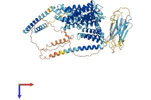 AlphaFold protein structure predicition of Mouse Recombinant Oca2 Protein, UniprotID Q62052