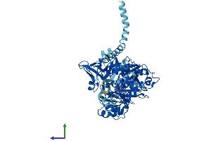 AlphaFold protein structure predicition of Mouse Recombinant Slc27a2 Protein, UniprotID O35488