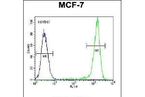 Flow cytometric analysis of MCF-7 cells (right histogram) compared to a negative control cell (left histogram). (Sphingomyelin Synthase 2 anticorps  (C-Term))