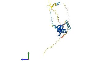 AlphaFold protein structure predicition of Mouse Recombinant Btf3 Protein, UniprotID Q64152