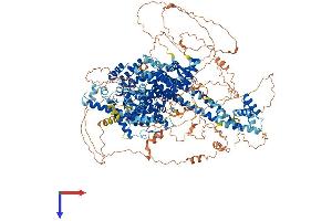 AlphaFold protein structure predicition of Mouse Recombinant Gapvd1 Protein, UniprotID Q6PAR5