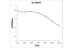 Antigen: 2 µg/100 µL  Primary: Antiserum, 1:500, 1:1000, 1:2000, 1:4000, 1:8000, 1:16000, 1:32000;  Secondary: HRP conjugated Rabbit Anti-Goat IgG at 1: 5000;  TMB staining Read the data in Microplate Reader by 450nm.