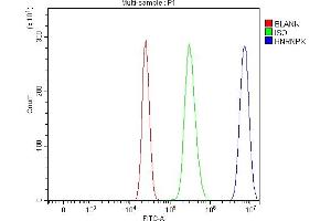 Flow Cytometry analysis of HepG2 cells using anti-hnRNP K/HNRNPK antibody (ABIN7601650). (HNRNPK anticorps  (AA 40-463))