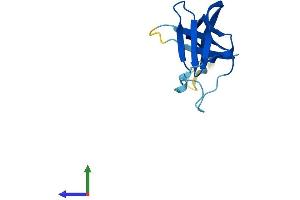 AlphaFold protein structure predicition of Human Recombinant CHTF8 Protein, UniprotID P0CG13