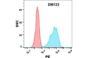 Flow cytometry analysis with Anti-PD-L1 (DM123) on Expi293 cells transfected with human PD-L1 (Blue histogram) or Expi293 transfected with irrelevant protein (Red histogram). (PD-L1 anticorps  (AA 19-328))