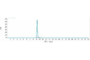 The purity of Anti-TNFRSF10B / TRAILR2 / CD262 Reference Antibody (tilogotamab) is more than 95 % , determined by SEC-HPLC. (Recombinant TNFRSF10B (Tilogotamab Biosimilar) anticorps)