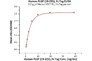 Immobilized Human VEGF R1, His Tag (ABIN2181915,ABIN2181916) at 2 μg/mL (100 μL/well) can bind Human PLGF (19-221), Fc Tag (ABIN6973195) with a linear range of 0.
