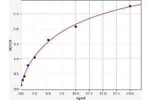 Typical standard curve (CASP14 Kit ELISA)