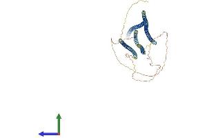 AlphaFold protein structure predicition of Human Recombinant SPDL1 Protein, UniprotID Q96EA4