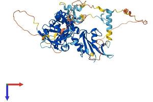 AlphaFold protein structure predicition of Mouse Recombinant Grb7 Protein, UniprotID Q03160