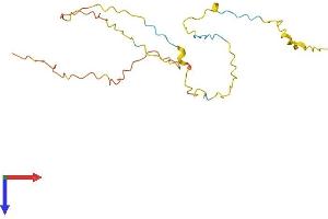 AlphaFold protein structure predicition of Human Recombinant GCSAM Protein, UniprotID Q8N6F7
