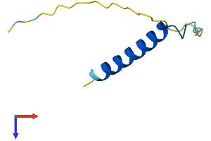 AlphaFold protein structure predicition of Mouse Recombinant Pcp4 Protein, UniprotID P63054