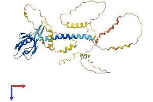 AlphaFold protein structure predicition of Human Recombinant TAMALIN Protein, UniprotID Q7Z6J2