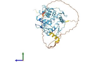 AlphaFold protein structure predicition of Human Recombinant ZNF707 Protein, UniprotID Q96C28