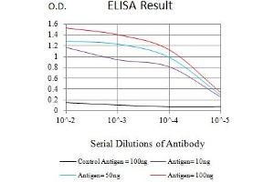 Black line: Control Antigen (100 ng),Purple line: Antigen (10 ng), Blue line: Antigen (50 ng), Red line:Antigen (100 ng) (TIA1 anticorps  (AA 1-215))