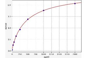 Baculoviral IAP Repeat-Containing 5 (BIRC5) ELISA Kit