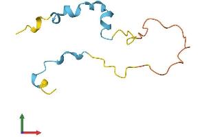 AlphaFold protein structure predicition of Human Recombinant MLLT11 Protein, UniprotID Q13015