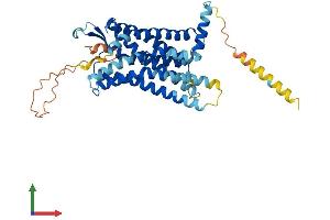 AlphaFold protein structure predicition of Human Recombinant BDKRB2 Protein, UniprotID P30411