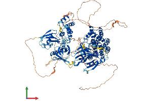 AlphaFold protein structure predicition of Mouse Recombinant Farp2 Protein, UniprotID Q91VS8