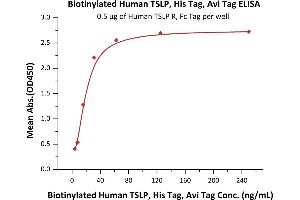 Immobilized Human TSLP R, Fc Tag at 5 μg/mL (100 μL/well) can bind Biotinylated Human TSLP, His,Avitag (ABIN5954931,ABIN6253633) with a linear range of 4-31 ng/mL (QC tested).