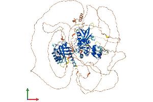 AlphaFold protein structure predicition of Mouse Recombinant Agap2 Protein, UniprotID Q3UHD9