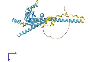 AlphaFold protein structure predicition of Mouse Recombinant Eif3h Protein, UniprotID Q91WK2