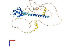 AlphaFold protein structure predicition of Mouse Recombinant Cytip Protein, UniprotID Q91VY6