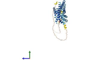 AlphaFold protein structure predicition of Mouse Recombinant Gpr132 Protein, UniprotID Q9Z282