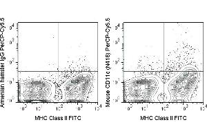 C57Bl/6 splenocytes were stained with Anti-Mouse MHC Class II FITC (ABIN6961666) and 0.