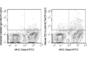 C57Bl/6 splenocytes were stained with Anti-Mouse MHC Class II FITC (ABIN6961666) and 0. (CD11c anticorps  (PerCP-Cy5.5))