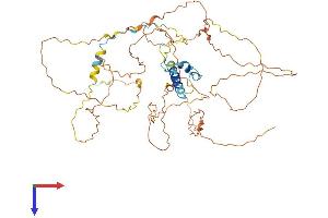 AlphaFold protein structure predicition of Human Recombinant FAM217A Protein, UniprotID Q8IXS0