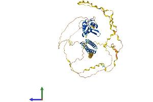 AlphaFold protein structure predicition of Mouse Recombinant Cpsf6 Protein, UniprotID Q6NVF9