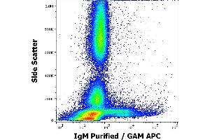 Flow cytometry surface staining pattern of human peripheral whole blood stained using anti-human IgM (CH2) purified antibody (concentration in sample 4 μg/mL, GAM APC). (Souris anti-Humain IgM Anticorps)