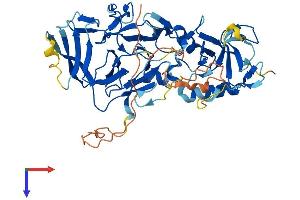 AlphaFold protein structure predicition of Human Recombinant PELI3 Protein, UniprotID Q8N2H9