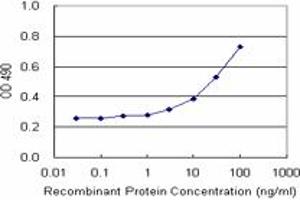 Sandwich ELISA detection sensitivity ranging from 3 ng/mL to 100 ng/mL. (RRM2 (Humain) Matched Antibody Pair)