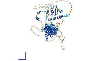 AlphaFold protein structure predicition of Mouse Recombinant Suz12 Protein, UniprotID Q80U70