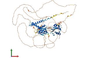 AlphaFold protein structure predicition of Mouse Recombinant Sh2b1 Protein, UniprotID Q91ZM2