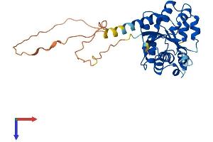 AlphaFold protein structure predicition of Human Recombinant NMNAT2 Protein, UniprotID Q9BZQ4