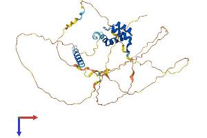 AlphaFold protein structure predicition of Human Recombinant TGIF1 Protein, UniprotID Q15583
