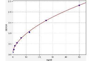 Typical standard curve (Kallikrein 8 Kit ELISA)