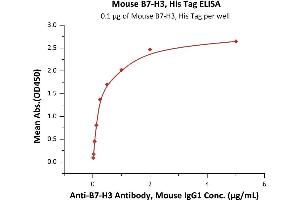 Immobilized Mouse B7-H3, His Tag (ABIN4949154,ABIN4949155) at 1 μg/mL (100 μL/well) can bind Anti-B7-H3 Antibody, Mouse IgG1 with a linear range of 0. (CD276 Protein (CD276) (AA 29-244) (His tag))