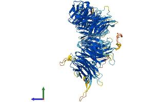 AlphaFold protein structure predicition of Human Recombinant WDR6 Protein, UniprotID Q9NNW5