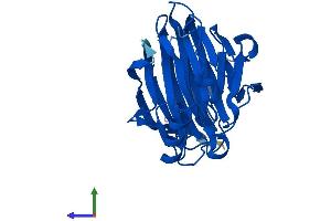 AlphaFold protein structure predicition of Human Recombinant PIR Protein, UniprotID O00625