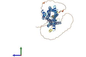 AlphaFold protein structure predicition of Mouse Recombinant Chrm1 Protein, UniprotID P12657