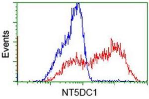 Image no. 17 for anti-5'-Nucleotidase Domain Containing 1 (NT5DC1) antibody (ABIN1499837)