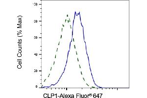 Validation of CLP1 knockdown using flow cytometry.