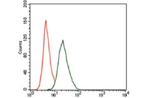 Flow Cytometry (FACS) image for anti-Runt-Related Transcription Factor 3 (RUNX3) (AA 186-252) antibody (ABIN1846067)
