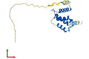 AlphaFold protein structure predicition of Mouse Recombinant Sntn Protein, UniprotID Q8C9X1