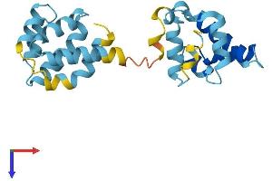 AlphaFold protein structure predicition of Mouse Recombinant Cradd Protein, UniprotID O88843