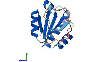 AlphaFold protein structure predicition of Human Recombinant TXNDC8 Protein, UniprotID Q6A555